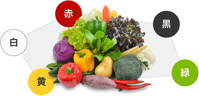 『5色の食材』で毎日の食事を楽しく彩り豊かに